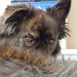 Meet your Posher, Sandra